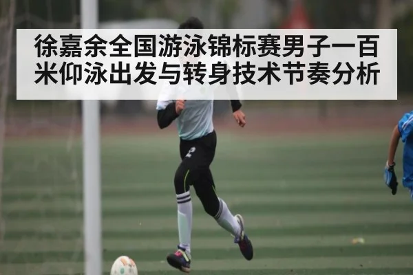 徐嘉余全国游泳锦标赛男子一百米仰泳出发与转身技术节奏分析
